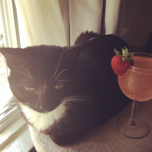 Lilliput Gail Carriger's Cat and a Pink Cocktail