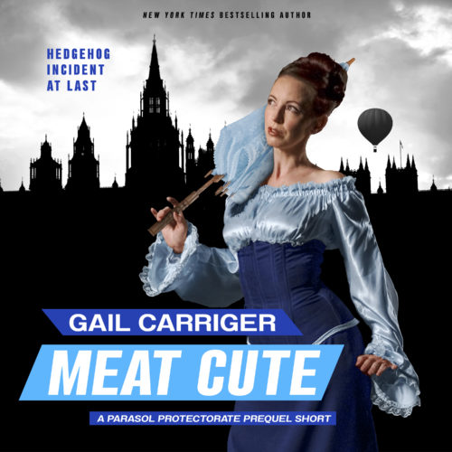 Meat Cute Audiobook Cover Art Hedgehog Incident